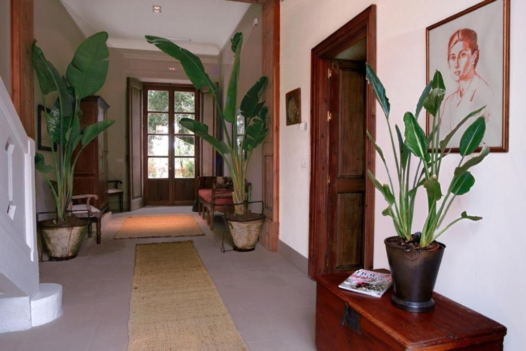 Casa Vina De Alcantara Херес де ла Фронтера Екстериор снимка