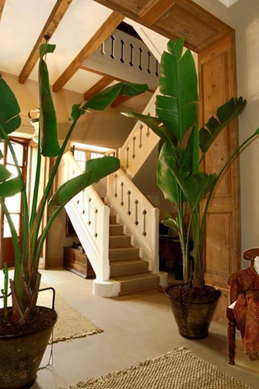 Casa Vina De Alcantara Херес де ла Фронтера Екстериор снимка